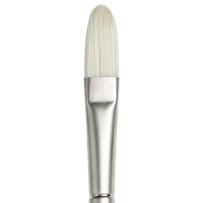 Winsor & Newton Artists' Oil Hog Paint Brush, Long Handle Size 7, Filbert - size: #7, style: Filbert