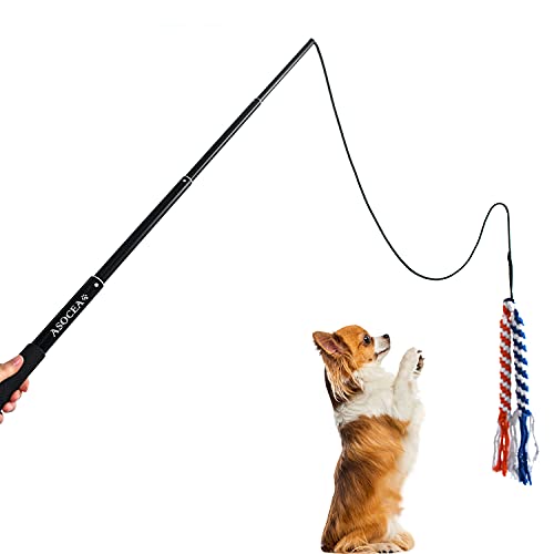 ASOCEA Dog Extendable Teaser Wand Pet Flirt Stick Pole Puppy Chasing Tail Interactive Toy for Small Medium Large Dogs Training Playing Exercise - color: Black