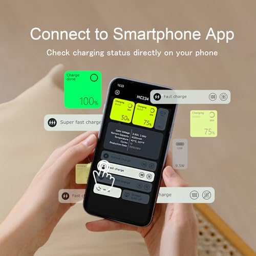 LIMETA Two-Way Fast Charging Hub for DJI Mini 4 Pro/Mini 3/3 Pro Battery, Multifunction Drone Charger with Storage Charge LCD Display Smart APP Controller