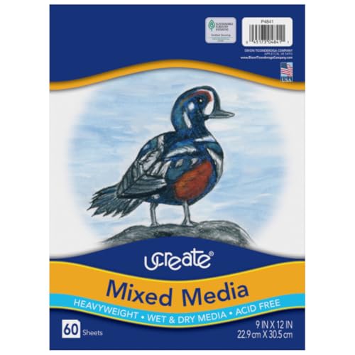 Pacon PAC4841 Art1st Mixed Media Art Paper, 9" x 12", White, 60 Sheets - size: 60 Count (Pack of 1)