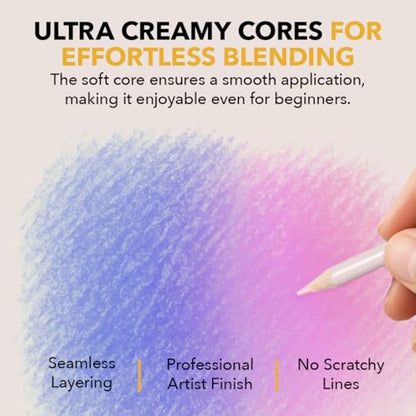 Castle Art Supplies 48 Pastel Colored Pencils for Adults - with Extras