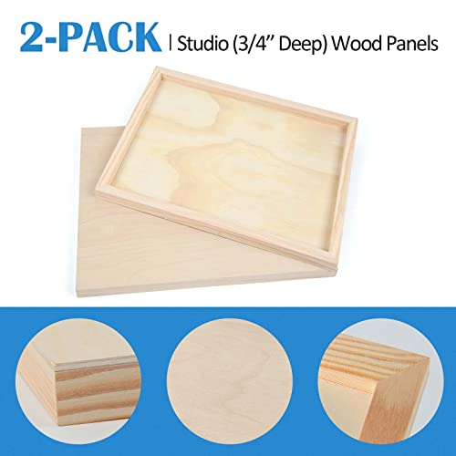 Falling in Art 2 Pack 20x20 Unfinished Birch Wood Panels Kit for Painting - size: 20*20 2-pack