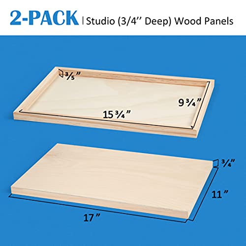Falling in Art 2 Pack 11x17 Unfinished Birch Wood Panels Kit for Painting - size: 11*17 2-pack