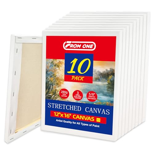 10-Pack 12x16 Stretched Canvas 100% Cotton Triple Primed for Acrylic & Oil - size: 10PK - 12"x16"
