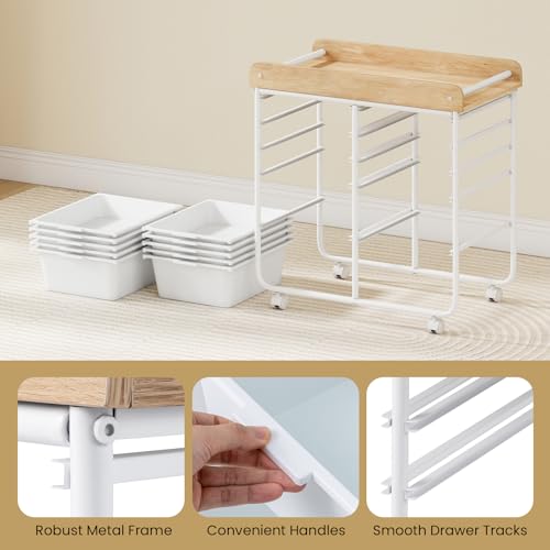 DREAMADE Rolling Storage Cart, 10-Drawer Utility Cart with Tabletop, White - color: White