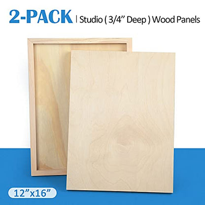 Falling in Art 2 Pack 12x16 Unfinished Birch Wood Panels Kit for Painting - size: 12*16 2-pack
