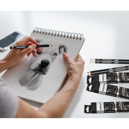 Geyoga 180 Pcs Professional Charcoal Pencils for Drawing Bulk