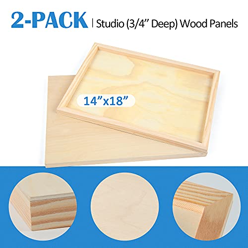 Falling in Art 2 Pack 14x18 Unfinished Birch Wood Panels Kit for Painting - size: 14*18 2-pack