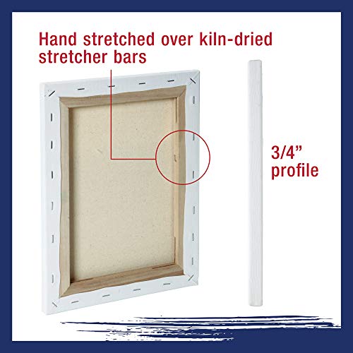 U.S. Art Supply Professional Quality Stretched Canvas, Multipack of 10 - size: Small