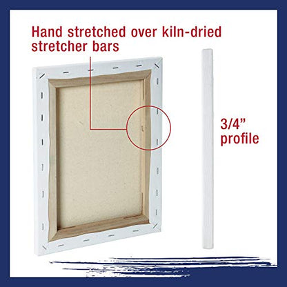 U.S. Art Supply Professional Quality Stretched Canvas, Multipack of 10 - size: Small