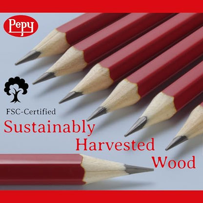 Pepy Graphite Professional Drawing Pencils - Set of 12 3B Pre-Sharpened Black Lead Pencils; Perfect for Drawing, Sketching and Shading, Graphic and Fine Art - style: Set of 12 - 3B