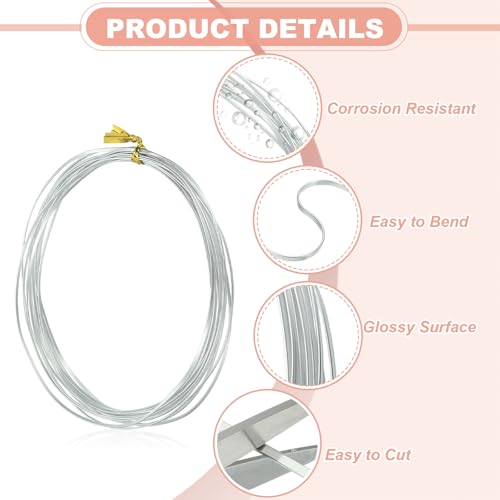 uxcell 1 Rolls 24 Gauge Flat Aluminum Wire, 16.40 ft Soft Craft Wire for Flower Bonsai Crafts Carving DIY Bezel Sculpting Gem Metal Wrap, Silver Tone - color: Silver Tone, size: 24 Gauge 1mm