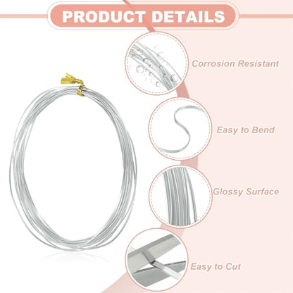 uxcell 1 Rolls 24 Gauge Flat Aluminum Wire, 16.40 ft Soft Craft Wire for Flower Bonsai Crafts Carving DIY Bezel Sculpting Gem Metal Wrap, Silver Tone - color: Silver Tone, size: 24 Gauge 1mm