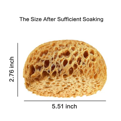 Knockdown Texture Sponge, Large 5.5x4.6x2.6'' Drywall and Wall Patch Ceiling Texture Sponge, Texture Patch Sponges Home Decor for Repair DIY Painting Ceiling (1 Pack)