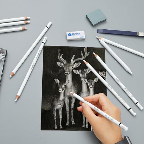 PANDAFLY Professional White Charcoal Pencils Set, 14 Piece - color: White, size: 1 Count (Pack of 14)
