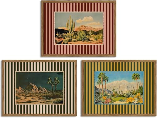 3 Pack Cactus Diamond Art Kits for Adults Diamond Painting Kit for Beginner - color: DP04906