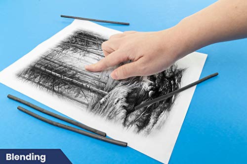 Pacific Arc Artist Vine Charcoal, Medium, Black 4 Charcoal Sticks for Drawing, Sketching, and Fine Art - style: Medium | 4 Sticks