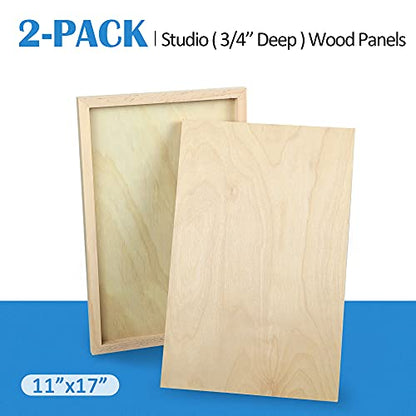 Falling in Art 2 Pack 11x17 Unfinished Birch Wood Panels Kit for Painting - size: 11*17 2-pack