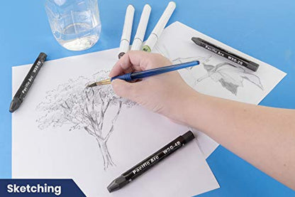 Pacific Arc Jumbo Water Soluble Graphite Sticks Set of 3, Soft 2B, 4B, 6B - style: 2B, 4B, 6B
