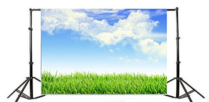 Leyiyi 10x7ft Spring Grassland Photography Background Gardening Plant Meadow Sky Cloud Light Spot North Prairie Backdrop Nature View Outdoor Activity Kids Birthday Photo Portrait Vinyl Studio Prop - size: 10x7ft