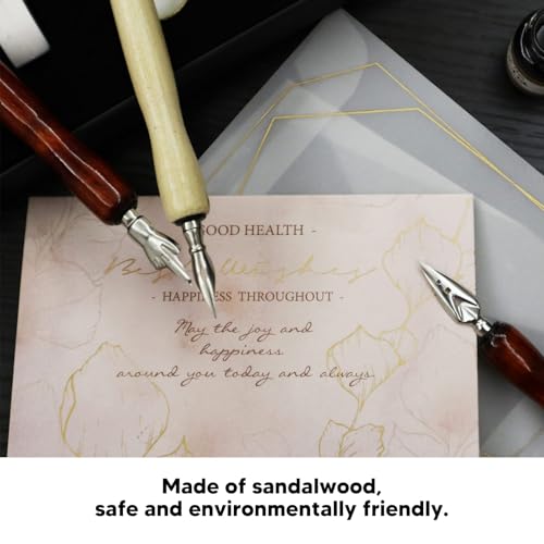 10PCS Dip Pen Nib Holder Calligraphy Pen Holders Nibs