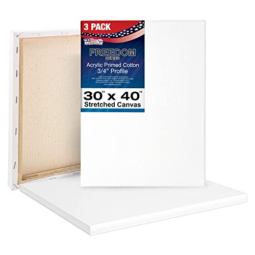 U.S. Art Supply 30"x40" Stretched Canvas for Painting, 3/4" Profile, 3-Pack - size: 30" x 40"