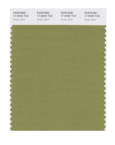 PANTONE SMART 17-0535X Color Swatch Card, Green Olive - color: Green Olive