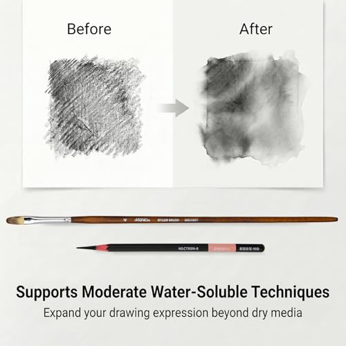 Marie's Charcoal Pencils for Drawing, 10 Pieces, Extra Hard Hard Medium Soft Extra Soft, Sketching Pencils for Artists, Smooth Charcoal Core for Layering, Blending and Detailed Artwork(Medium) - style: Medium (10pcs)