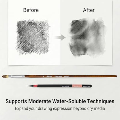 Marie's Charcoal Pencils for Drawing, 10 Pieces, Extra Hard Hard Medium Soft Extra Soft, Sketching Pencils for Artists, Smooth Charcoal Core for Layering, Blending and Detailed Artwork(Medium) - style: Medium (10pcs)