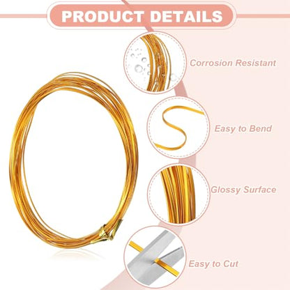uxcell 1 Rolls 24 Gauge Flat Aluminum Wire, 16.40 ft Soft Craft Wire for Flower Bonsai Crafts Carving DIY Bezel Sculpting Gem Metal Wrap, Gold Tone - color: Gold Tone, size: 24 Gauge 1mm