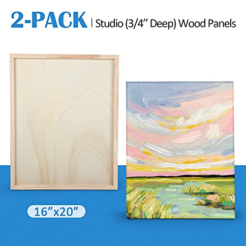 Falling in Art 2 Pack 16x20 Unfinished Birch Wood Panels Kit for Painting - size: 16*20 2-pack