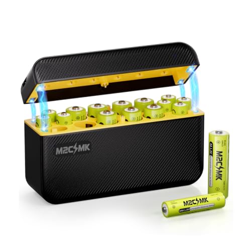 Rechargeable 8 AA and 8 AAA Lithium Batteries with USB-C Charger
