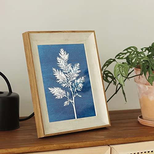Cyanotype Kit, 15 oz/Each Large Blue Printing Solution - size: 15 oz X 2