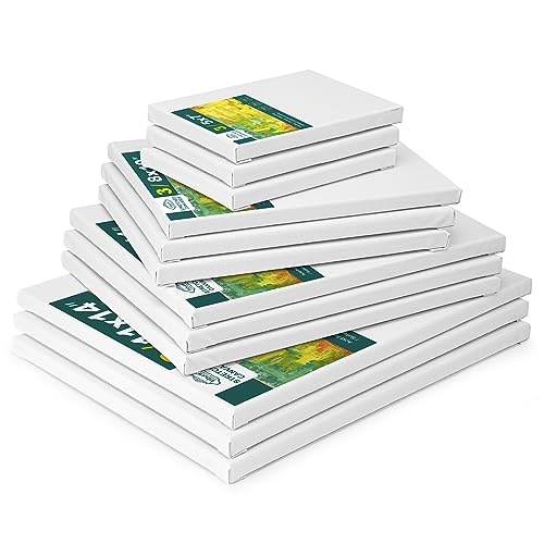 Inburit 12 PCS Multi Size Stretched Blank Canvas for Acrylic & Oil Painting - size: 12PCS+(4sizex3)