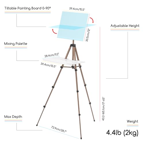 MEEDEN Plein Air Easel for Painting: Adjustable Travel Watercolor Tripod