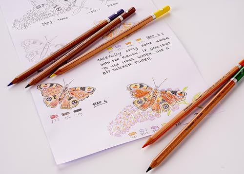 Bruynzeel Expression Colour Pencils Tin 12 (60312012) - size: 1 Count (Pack of 12)