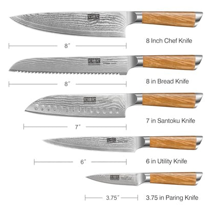 HOSHANHO Damascus Kitchen Knife Set 5PCS, Sharp Chef Knives Ergonomic Grip - style: 5 Pieces Knife Set