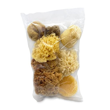 Natural Sea & Synthetic Sponges 7pk, Assorted Sizes, Painting & Crafts