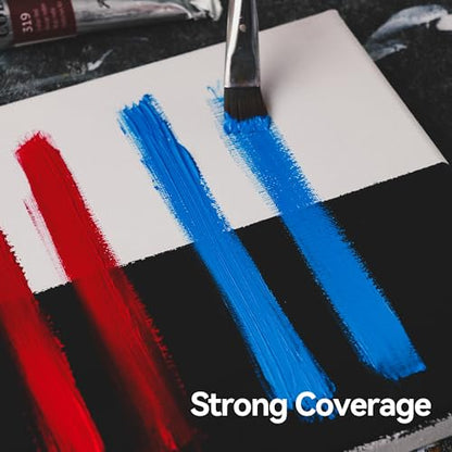 PHOENIX Artist Oil Paint Set - 24 Color x 1.35 Oz. / 40ml Tubes Professional Quality Oil Based Paint for Canvas Painting - color: 24 Colors