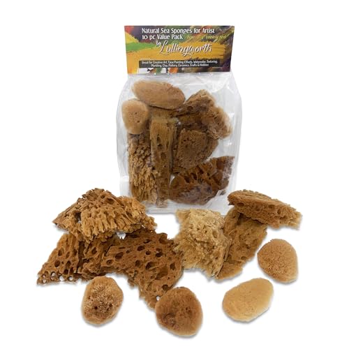 Natural Sea Sponges 10pk for Artists, 2"-4" Unbleached, Painting & Crafts
