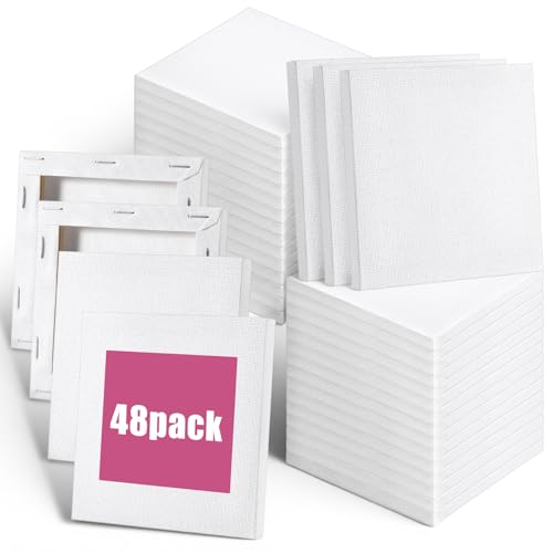 48 Pcs 4x4inches Mini Canvases for Painting