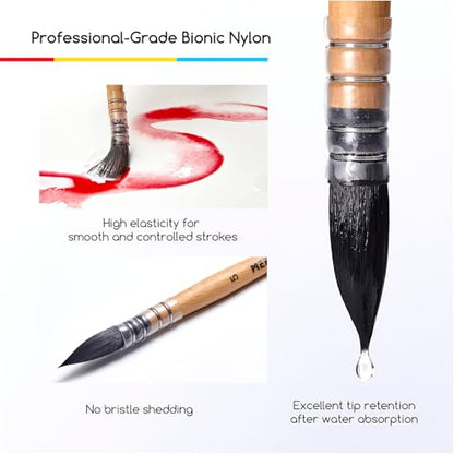 MEEDEN Watercolor Brushes Professional - Synthetic Squirrel Hair Artist Paint Brushes Set with Beech Wood Handle Great for Artists Hobbyists Size 5 - size: Size 5 - 1 Count