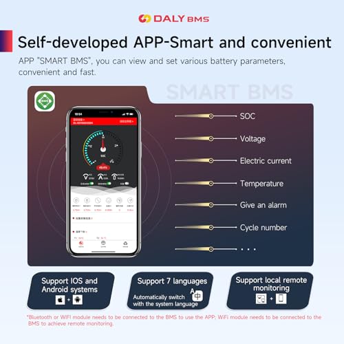 DALY Smart BMS 8S 24V 300A LiFePO4 with WiFi Bluetooth Module CAN RS485 - color: 8S 24V, size: 300A