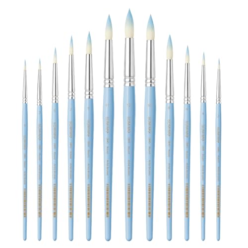 12 Pcs Round Professional Artist Watercolor Paint Brush Set, Blue - color: Blue, size: Round