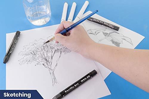 Pacific Arc Jumbo Water Soluble Graphite Sticks Set of 3, Soft 12B, 10B, 8B - style: 12B, 10B, 8B