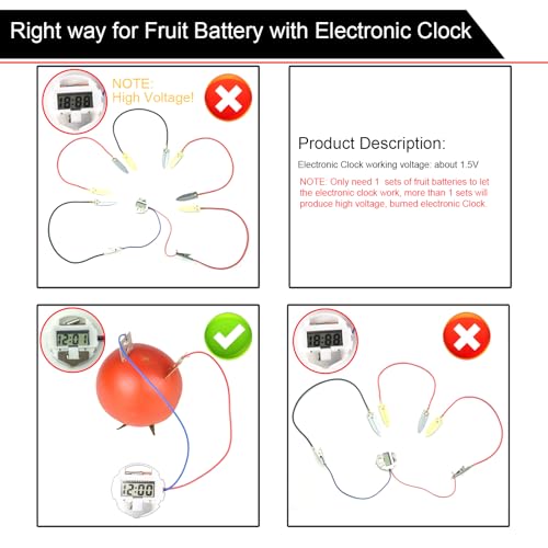EUDAX Fruit Battery Science Experiment Kit for DIY School Home Teaching Equipment, Orange Lemon Potato Electronic Clock Science Project Kit Physics Educational for Students Teachers (8 Set) - style: 8 Set