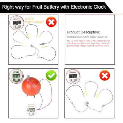 EUDAX Fruit Battery Science Experiment Kit for DIY School Home Teaching Equipment, Orange Lemon Potato Electronic Clock Science Project Kit Physics Educational for Students Teachers (8 Set) - style: 8 Set