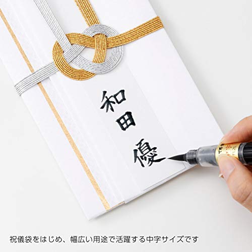 Pentel Fude Brush Pen, Medium (XFL2L) - size: 1 Count (Pack of 1), style: Medium