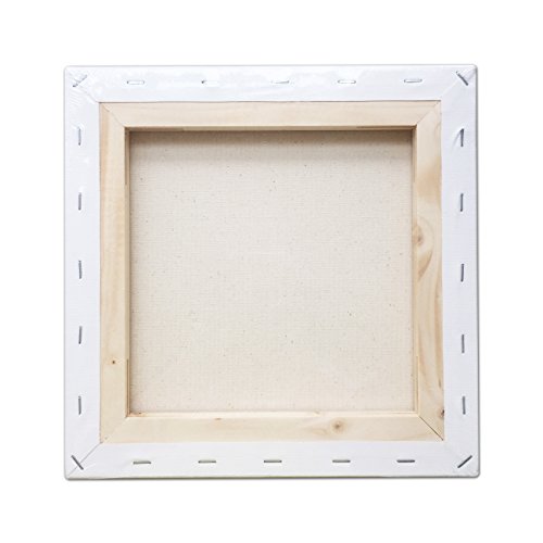 LWR CRAFTS Stretched Canvas 10" X 10" Pack of 6 - size: 10"x10"x6