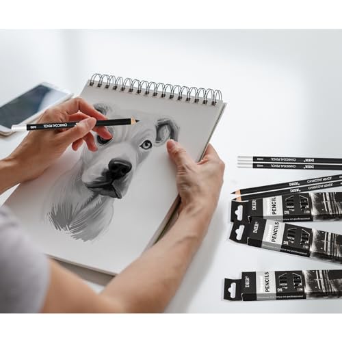 Geyoga 36 Pcs Professional Charcoal Pencils Bulk, Black, Assorted - style: Assorted